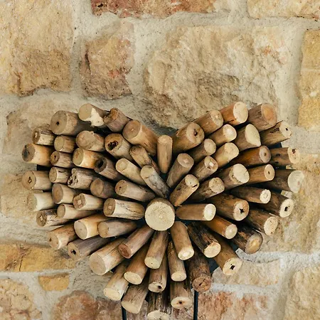 Mont Rock Apartament